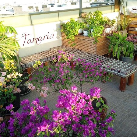 Tamaris Hotel 齐克拉约 外观 照片